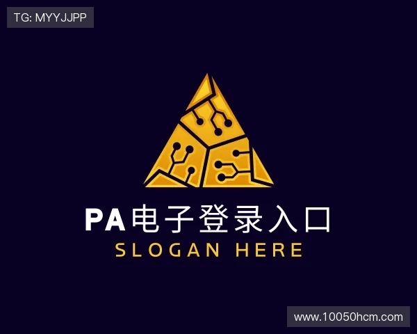 认识PA电子平台