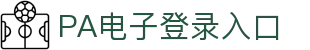 PA电子官网
